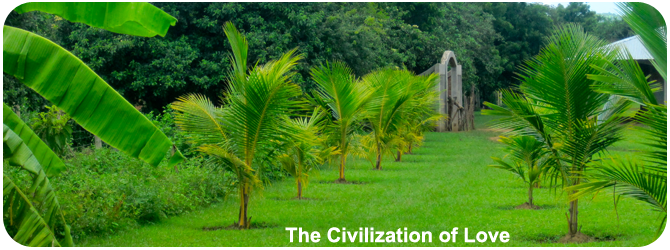 The Civilization of Love Website